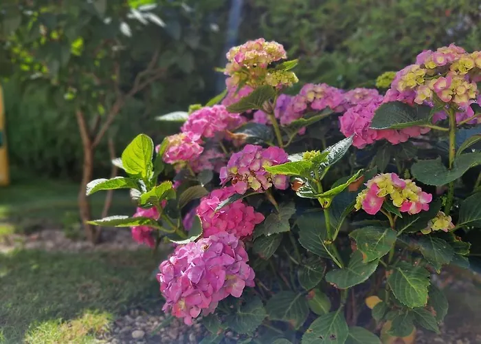 Oaza Spokoju Nowecin